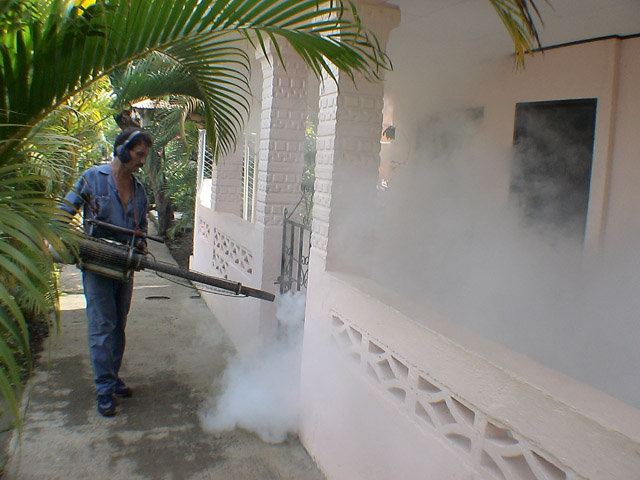 Ministerio de Salud esperan tener controlada la epidemia de dengue en noviembre